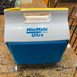 Vintage/Retro Igloo Mini Mate lunchbox/cooler